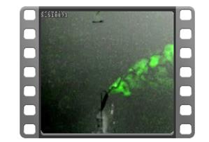 Gas Enhancement Mode(GEM)