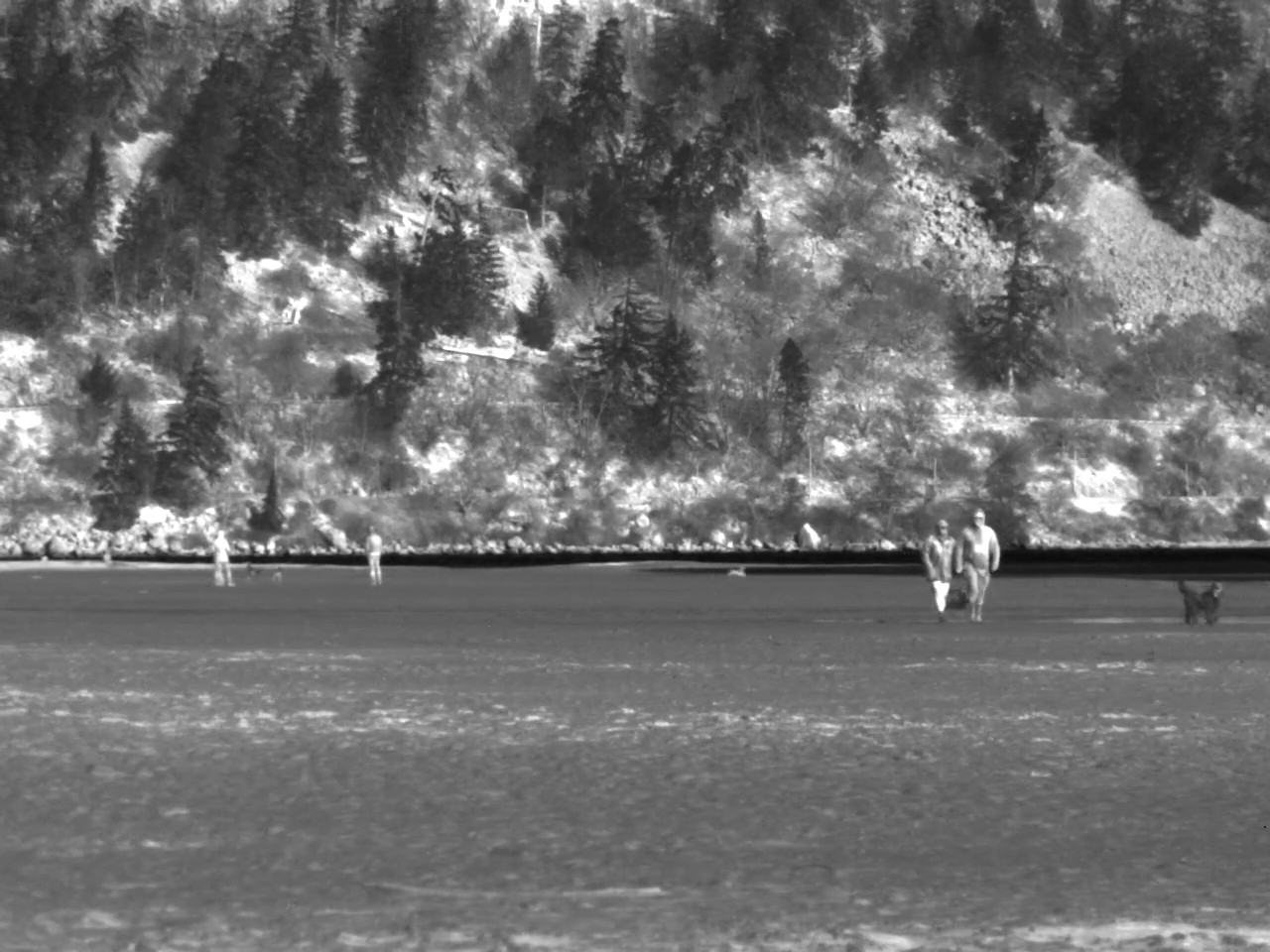 Ventus HD6-Fixed Screen Grab